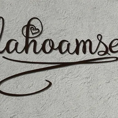 Dahoamsei * Steeg